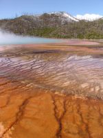 Midway Geyser Basin - Yellowstone National Park (Wyoming, USA)