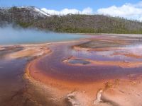 Midway Geyser Basin - Yellowstone National Park (Wyoming, USA)