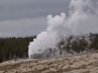 Geyser near Old Faithful - Yellowstone National Park (Wyoming, USA)