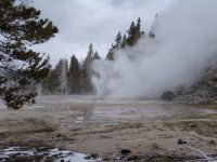 Geyser - Yellowstone National Park (Wyoming, USA)