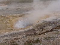 Geyser - Yellowstone National Park (Wyoming, USA)