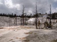 Upper Terrace Drive, Mammoth Hot Springs - Yellowstone National Park (Wyoming, USA)