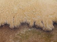 Rock formations - Yellowstone National Park (Wyoming, USA)