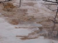 Terraces - Yellowstone National Park (Wyoming, USA)