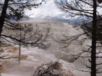 Terraces - Yellowstone National Park (Wyoming, USA)