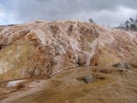 Pallette Springs - Yellowstone National Park (Wyoming, USA)