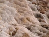 Pallette Springs - Yellowstone National Park (Wyoming, USA)