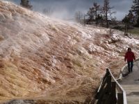 Pallette Springs - Yellowstone National Park (Wyoming, USA)
