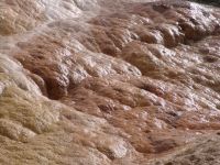 Pallette Springs - Yellowstone National Park (Wyoming, USA)