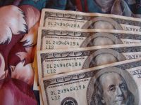 Greenback closeup - Super 8 West Yellowstone (Montana, USA)