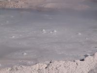 Mud bubbling - Yellowstone National Park (Wyoming, USA)