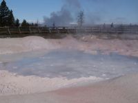Mud bubbling - Yellowstone National Park (Wyoming, USA)