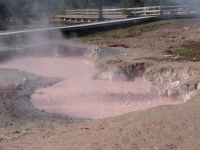 Mud bubbling - Yellowstone National Park (Wyoming, USA)