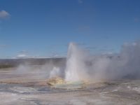 Geyser - Yellowstone National Park (Wyoming, USA)
