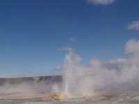Geyser - Yellowstone National Park (Wyoming, USA)