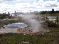 Geyser basin - Yellowstone National Park (Wyoming, USA)