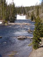 Lewis Falls/ Lewis River - Yellowstone National Park (Wyoming, USA)