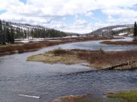 Lewis River - Yellowstone National Park (Wyoming, USA)