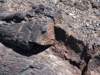 Textured rock - Craters of the Moon National Monument (Idaho, USA)