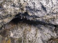 Little stalactites of lava - Craters of the Moon National Monument (Idaho, USA)