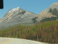 Areas affected by recent wildfires - Kootenay National Park (British Columbia, Canada)