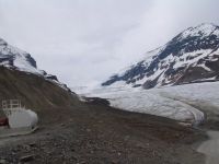 Athabaska Glacier - Jasper National Park (Alberta, Canada)