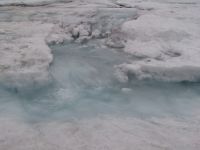 Glacier runoff - Jasper National Park (Alberta, Canada)