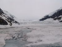 Athabaska Glacier - Jasper National Park (Alberta, Canada)