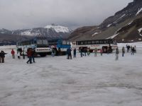 Crowds on the glacier - Jasper National Park (Alberta, Canada)