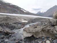 Lower end of the glacier - Jasper National Park (Alberta, Canada)