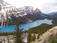 Peyto Lake - Banff National Park (Alberta, Canada)
