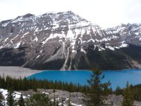 Peyto Lake - Banff National Park (Alberta, Canada)