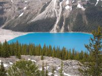 Peyto Lake - Banff National Park (Alberta, Canada)