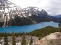 Peyto Lake - Banff National Park (Alberta, Canada)