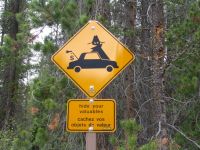 Anti-theft sign - Jasper National Park (Alberta, Canada)