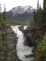 Athabasca Falls - Jasper National Park (Alberta, Canada)