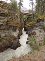 Gorge at Athabasca Falls - Jasper National Park (Alberta, Canada)