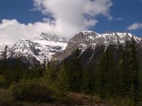 Mountains on the Icefields Parkway - Banff National Park (Alberta, Canada)