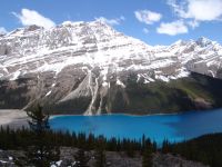 Peyto Lake - Banff National Park (Alberta, Canada)
