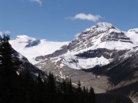 Peyto Glacier - Banff National Park (Alberta, Canada)