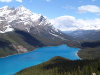 Peyto Lake - Banff National Park (Alberta, Canada)