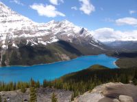 Peyto Lake - Banff National Park (Alberta, Canada)