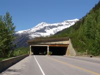 Snow tunnel - Glacier National Park (British Columbia, Canada)