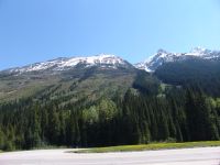 Hillside where an avalanche swept down and killed 62 railway workers - Glacier National Park (British Columbia, Canada)