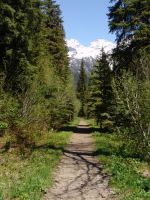 Abandoned railway - Glacier National Park (British Columbia, Canada)