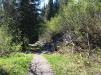Abandoned railway - Glacier National Park (British Columbia, Canada)