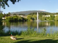 Fountain and lake - Salmon Arm (British Columbia, Canada)