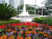 Flowers and fountain in Vancouver - Vancouver (British Columbia, Canada)