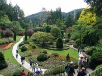 Flowers - Butchart Gardens (British Columbia, Canada)