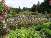 Flowers - Butchart Gardens (British Columbia, Canada)